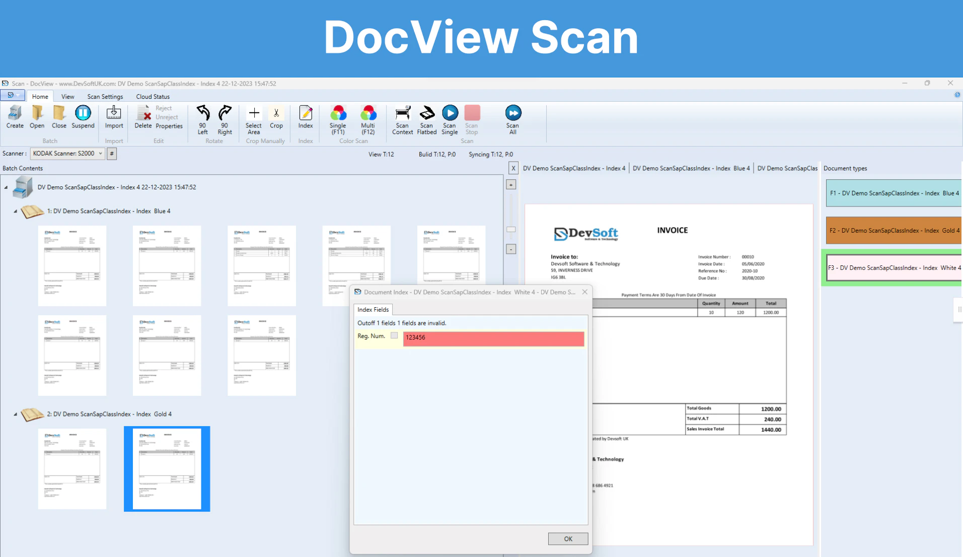 screenshot of DocView Capture